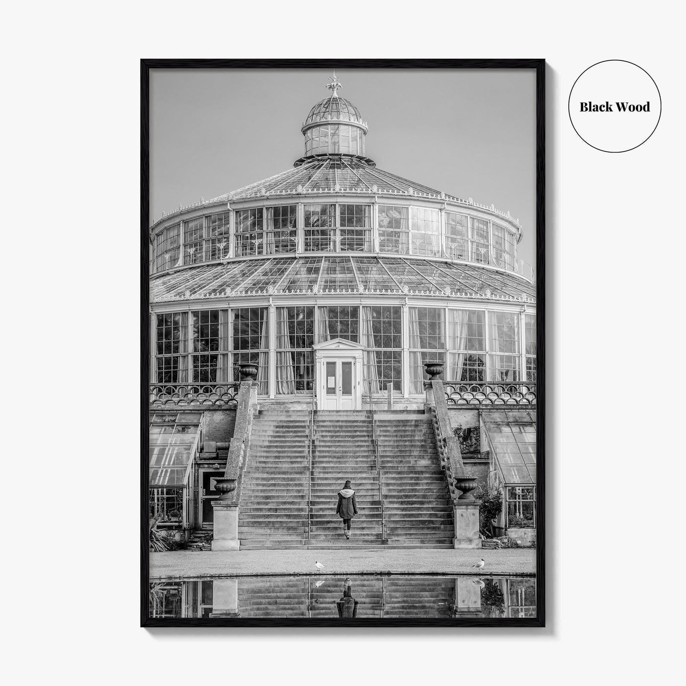 Botanisk Have Black and White Fine Art Photo Print, Copenhagen Botanical Garden Denmark Poster
