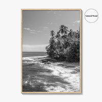 Costa Rica Black and White Fine Art Photo Print, Manzanillo Caribbean Puerto Viejo Poster
