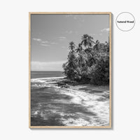 Costa Rica Black and White Fine Art Photo Print, Manzanillo Caribbean Puerto Viejo Poster