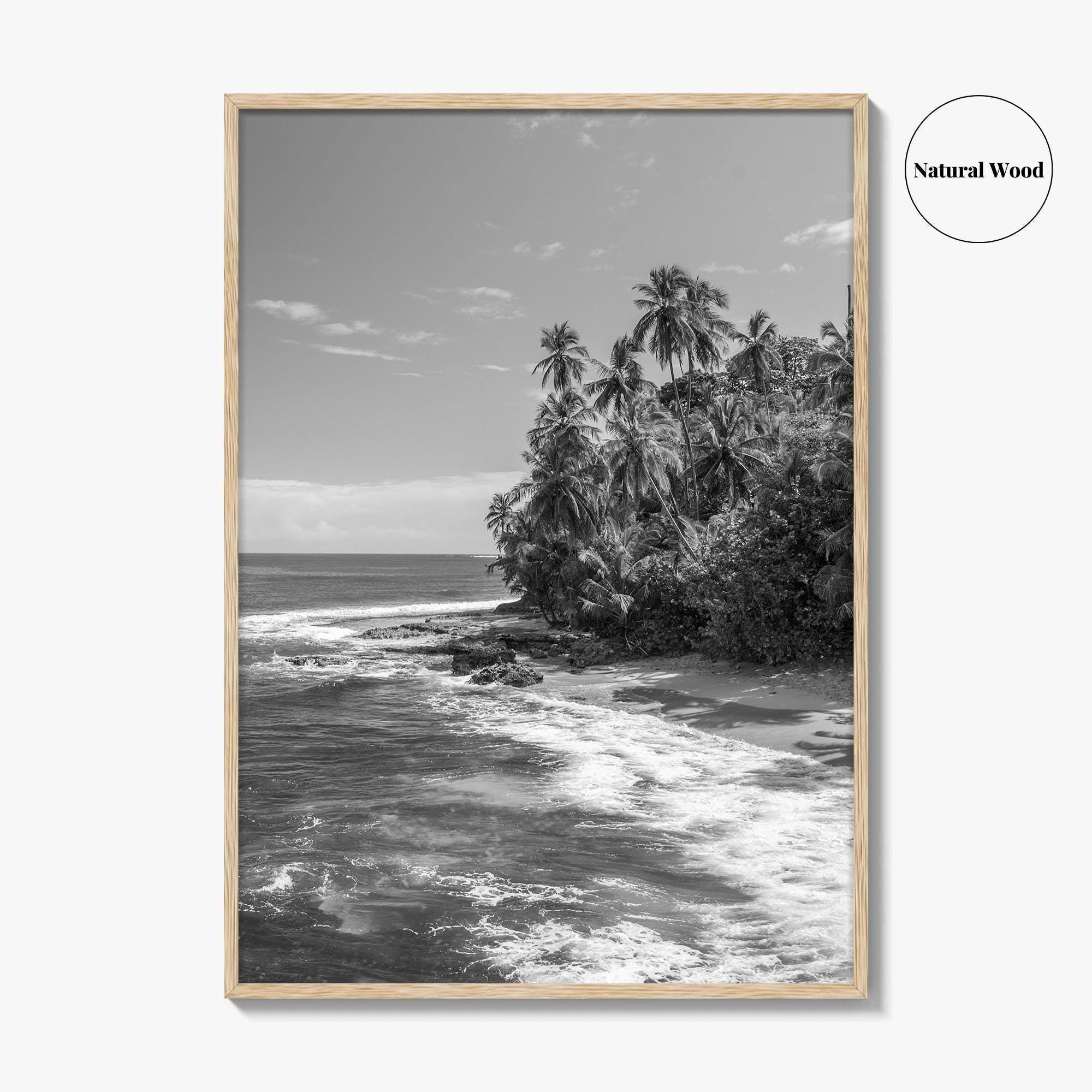 Costa Rica Black and White Fine Art Photo Print, Manzanillo Caribbean Puerto Viejo Poster