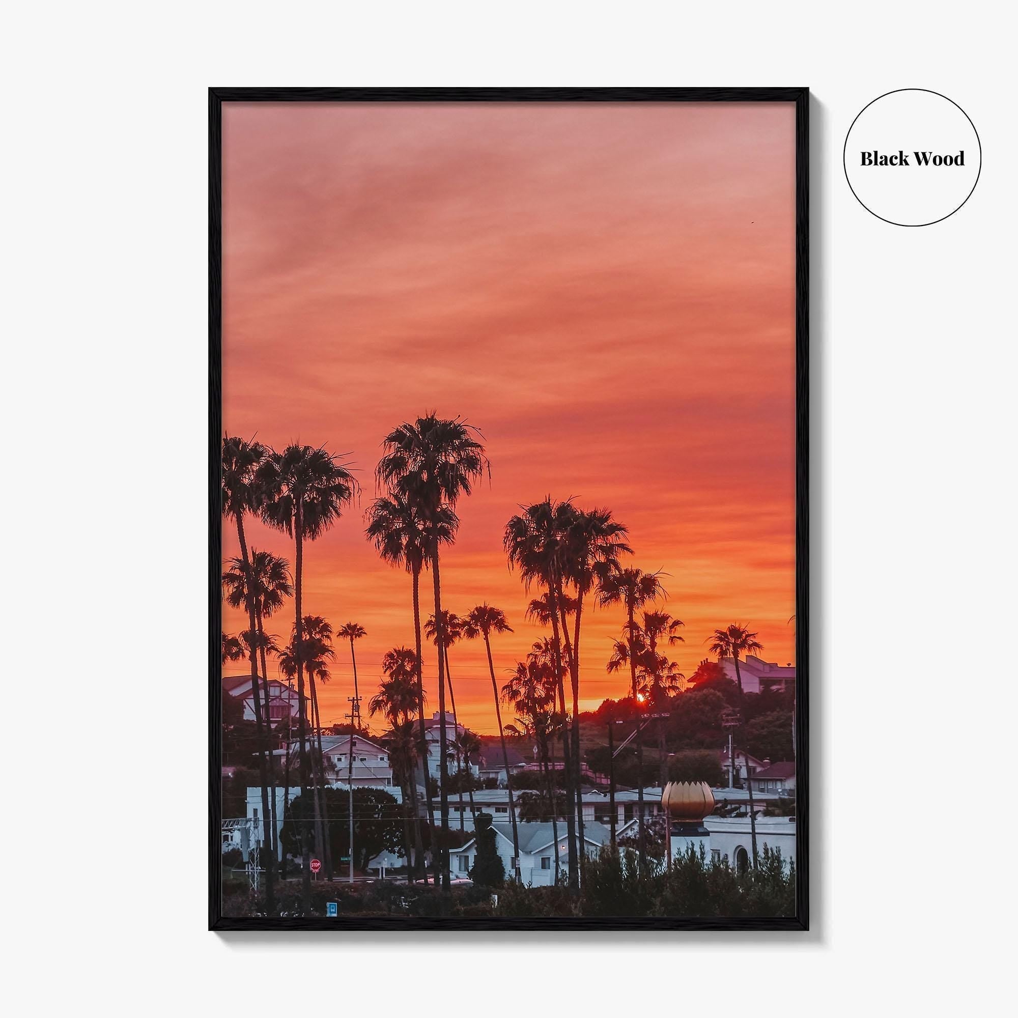 Encinitas Fine Art Photo Print, San Diego Palm Tree California Poster