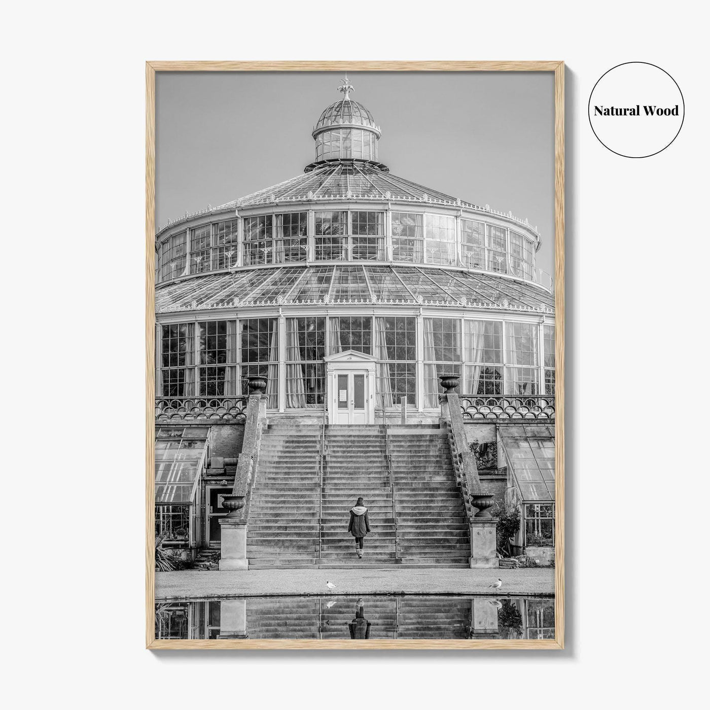 Botanisk Have Black and White Fine Art Photo Print, Copenhagen Botanical Garden Denmark Poster