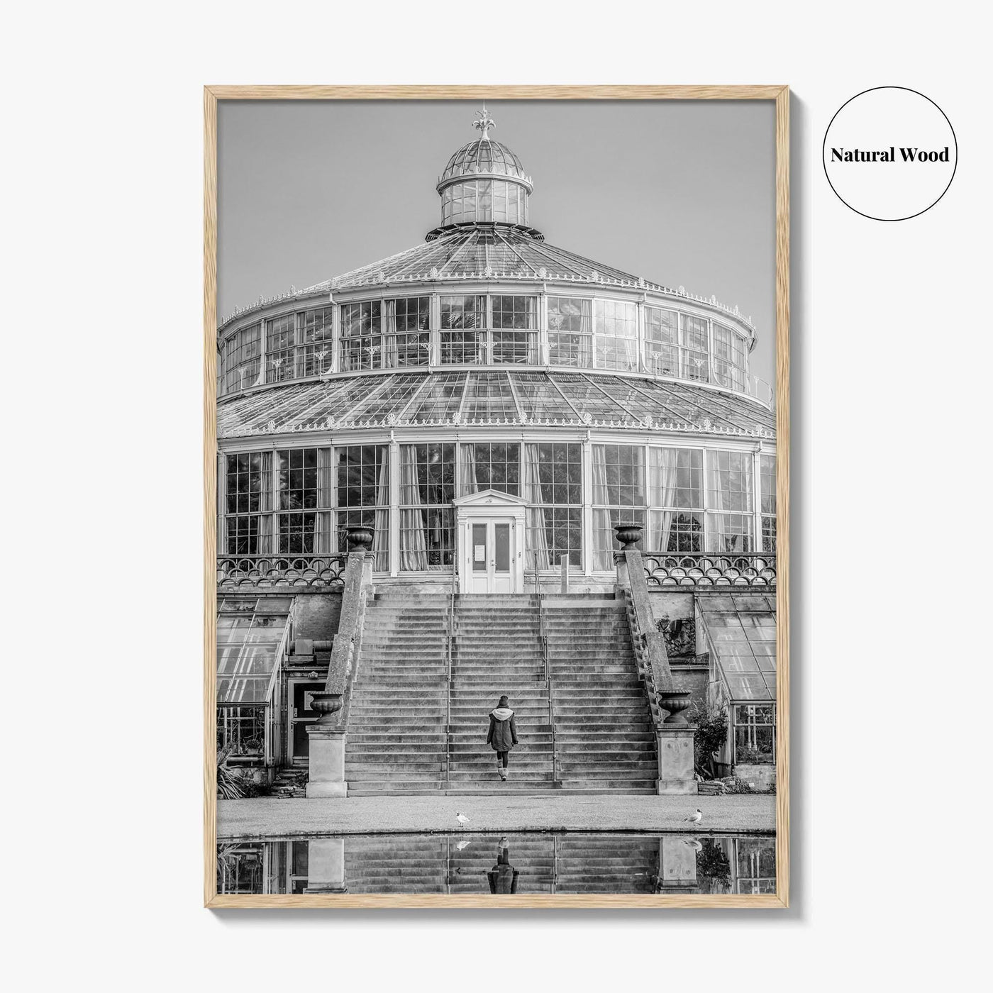 Botanisk Have Black and White Fine Art Photo Print, Copenhagen Botanical Garden Denmark Poster