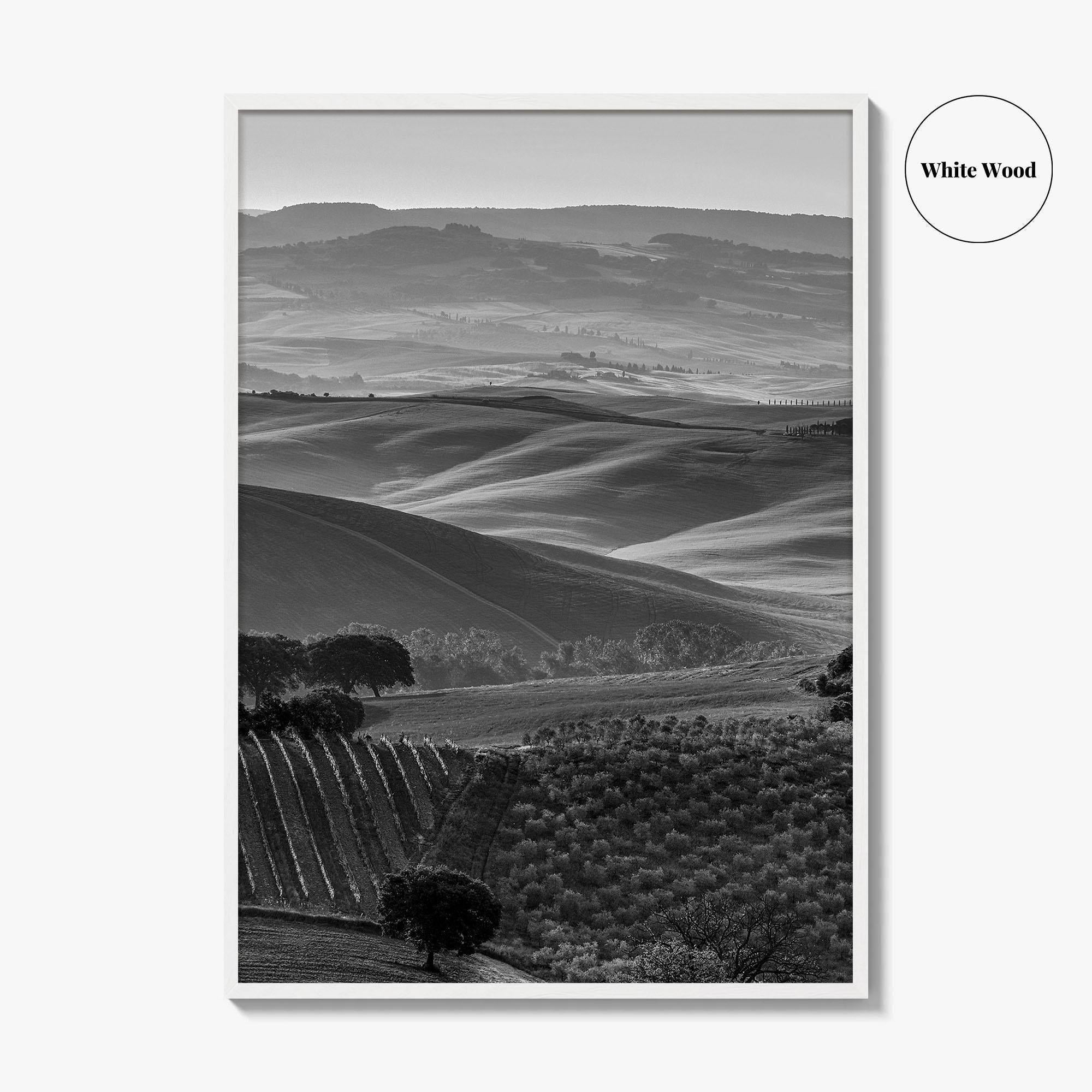 Tuscany Hills Black and White Fine Art Photo Print, Italy Landscape Wall Decor