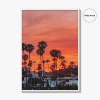 Encinitas Fine Art Photo Print, San Diego Palm Tree California Poster