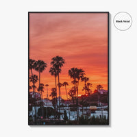 Encinitas Fine Art Photo Print, San Diego Palm Tree California Poster