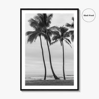 Haleiwa Black and White Fine Art Photo Print, Oahu Palm Trees, Hawaii Poster