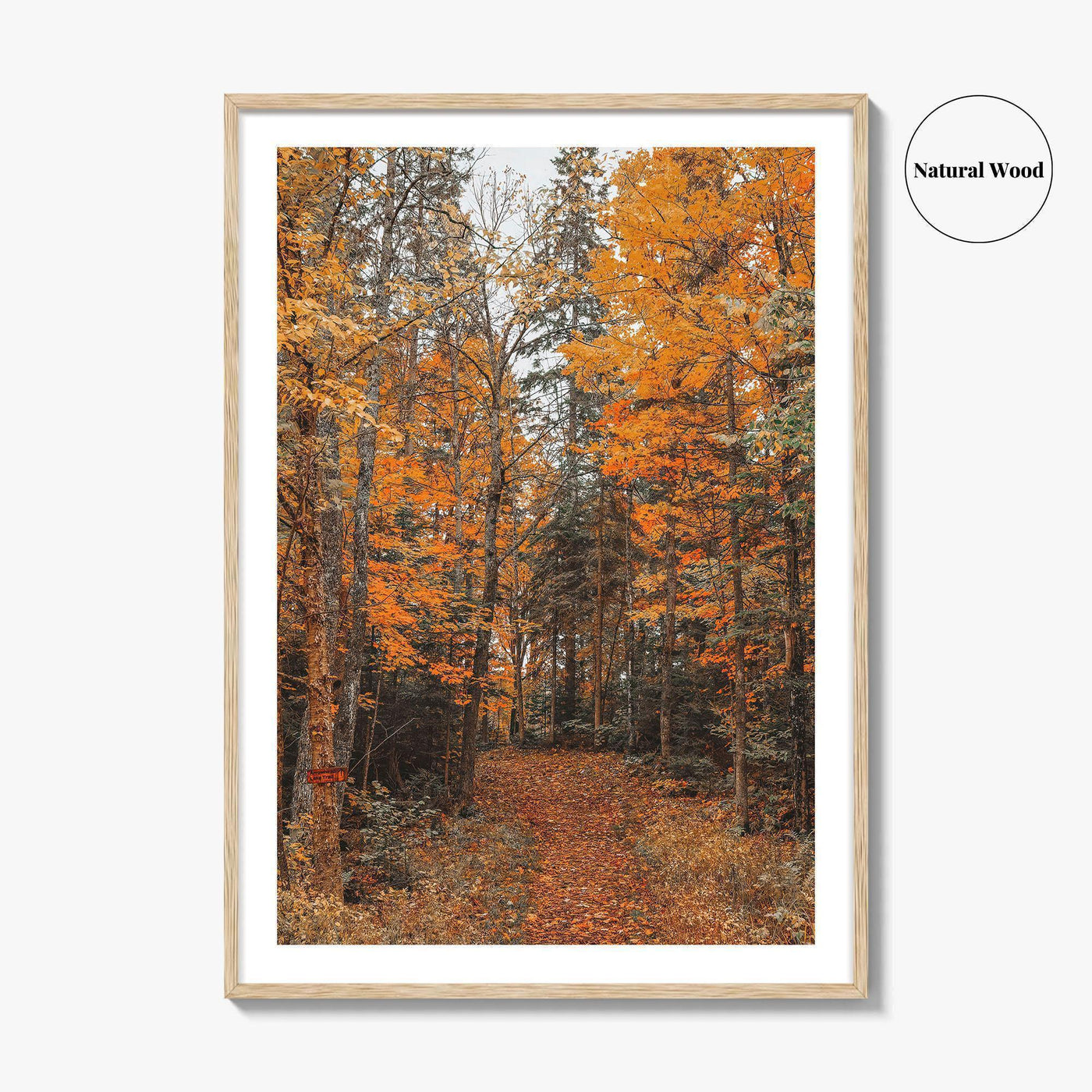 Arrowhead Provincial Park Fine Art Photo Print, Huntsville Ontario Canada, Algonquin Highlands, Wall Poster