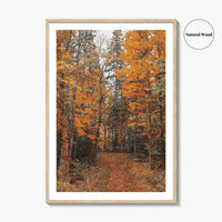 Arrowhead Provincial Park Fine Art Photo Print, Huntsville Ontario Canada, Algonquin Highlands, Wall Poster