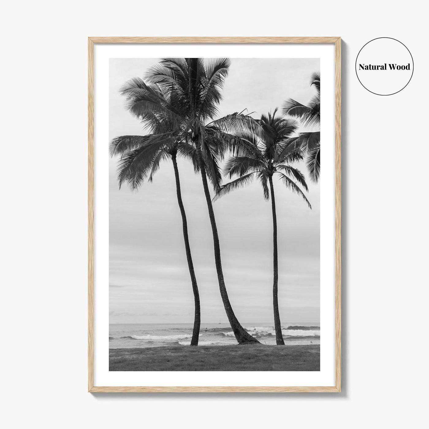 Haleiwa Black and White Fine Art Photo Print, Oahu Palm Trees, Hawaii Poster