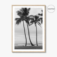 Haleiwa Black and White Fine Art Photo Print, Oahu Palm Trees, Hawaii Poster