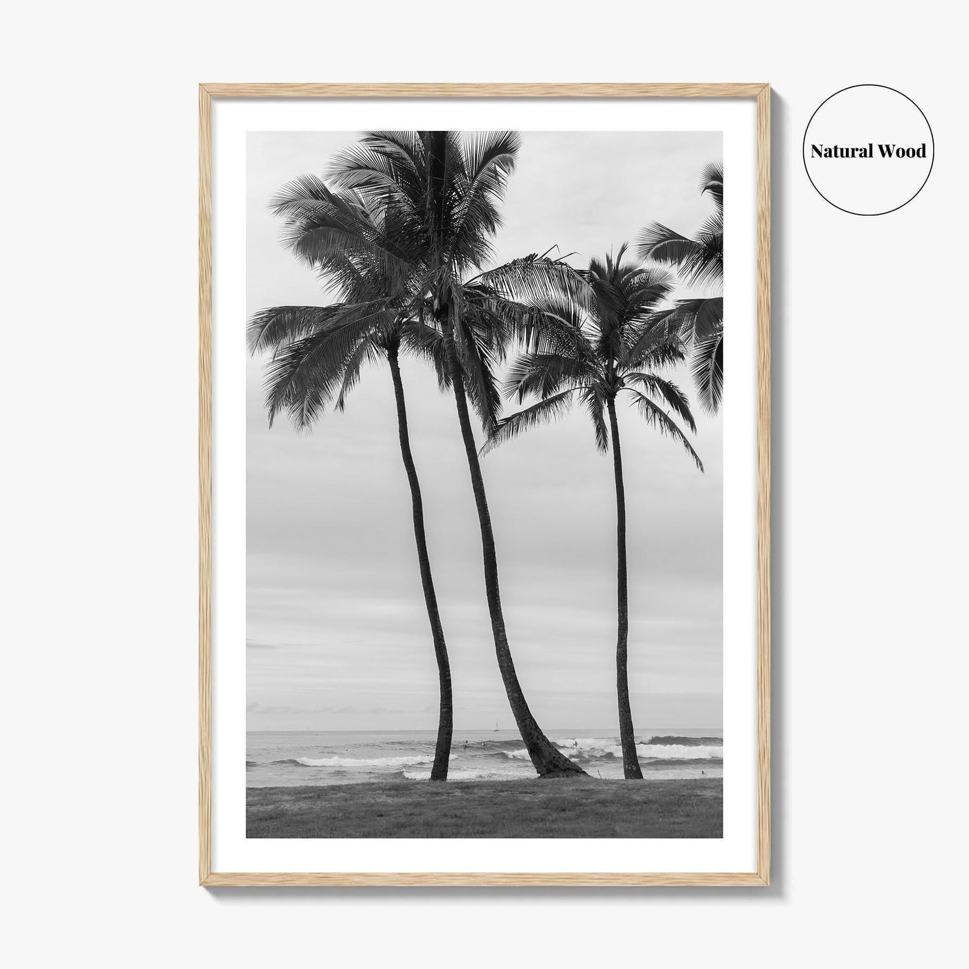 Haleiwa Black and White Fine Art Photo Print, Oahu Palm Trees, Hawaii Poster
