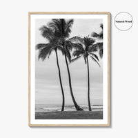 Haleiwa Black and White Fine Art Photo Print, Oahu Palm Trees, Hawaii Poster