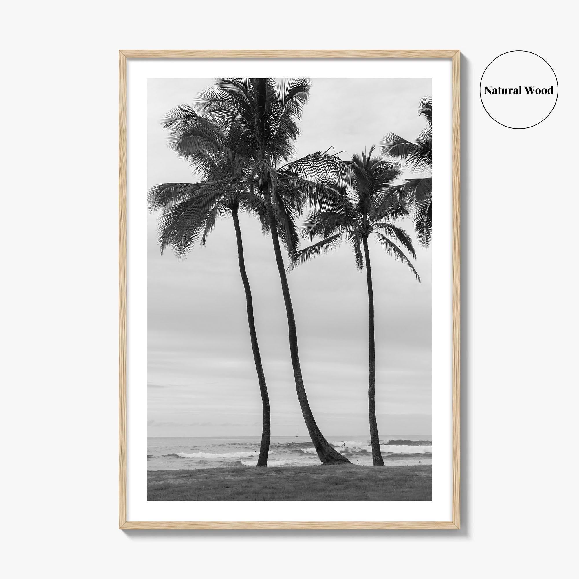 Haleiwa Black and White Fine Art Photo Print, Oahu Palm Trees, Hawaii Poster