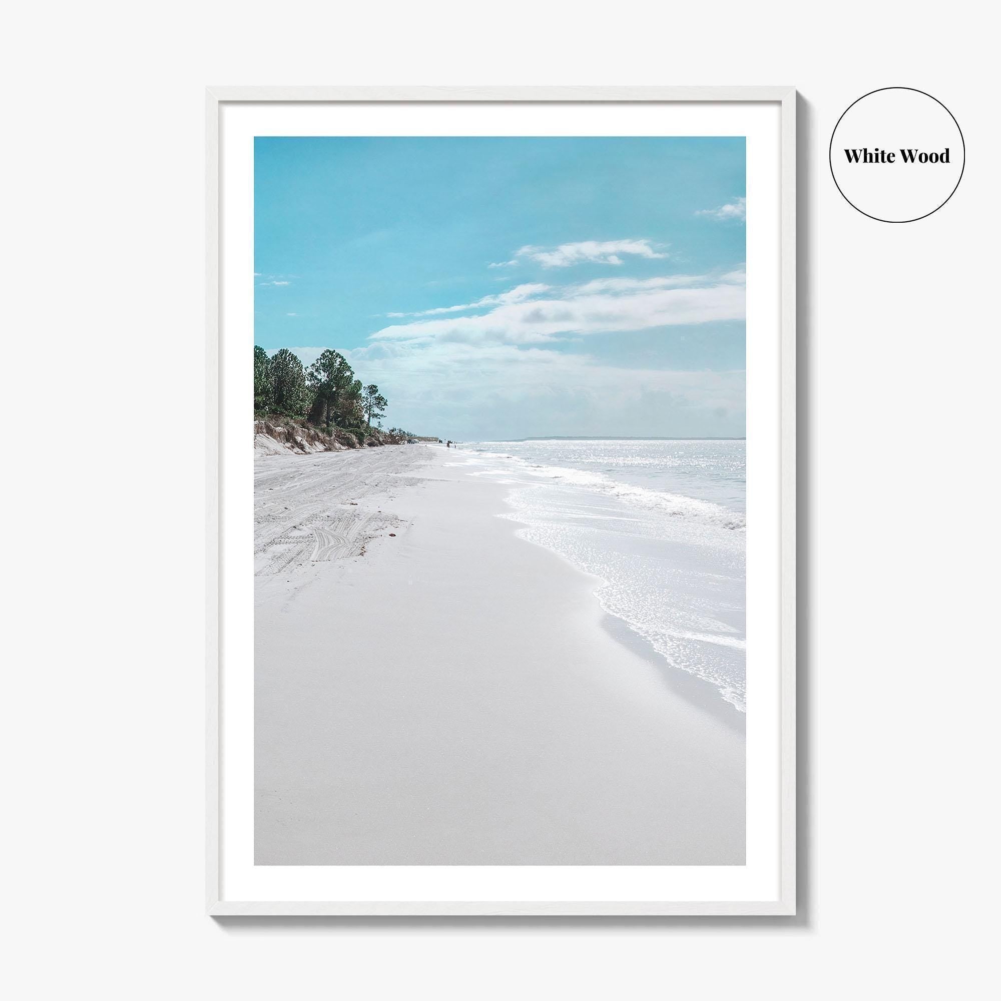 Fernandina Beach Fine Art Photo Print, Amelia Island, Florida, USA, Wall Poster, Coastal Birds
