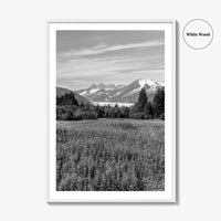 Juneau Black and White Fine Art Photo Print, Mendenhall Glacier Alaska Poster