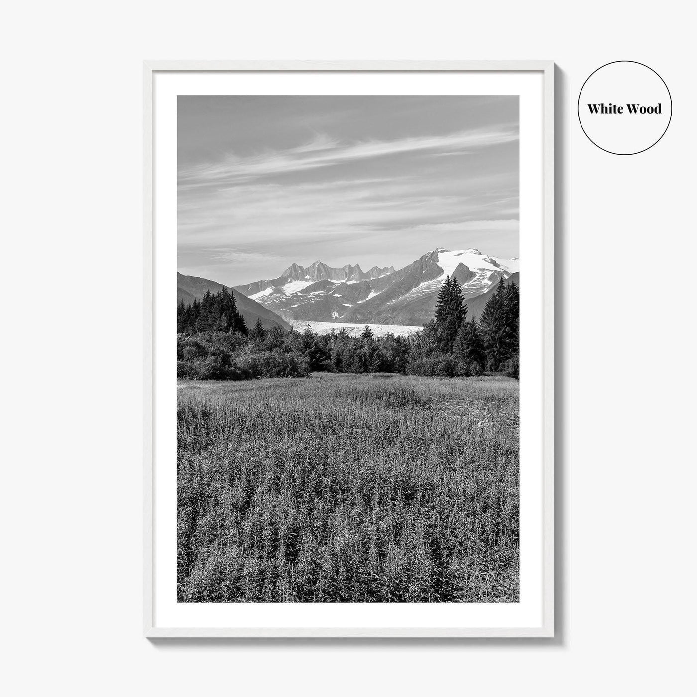 Juneau Black and White Fine Art Photo Print, Mendenhall Glacier Alaska Poster