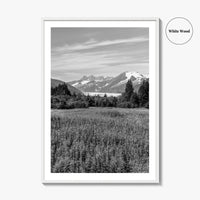 Juneau Black and White Fine Art Photo Print, Mendenhall Glacier Alaska Poster