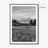 Juneau Black and White Fine Art Photo Print, Mendenhall Glacier Alaska Poster