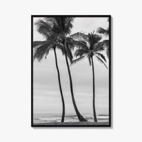Haleiwa Black and White Fine Art Photo Print, Oahu Palm Trees, Hawaii Poster