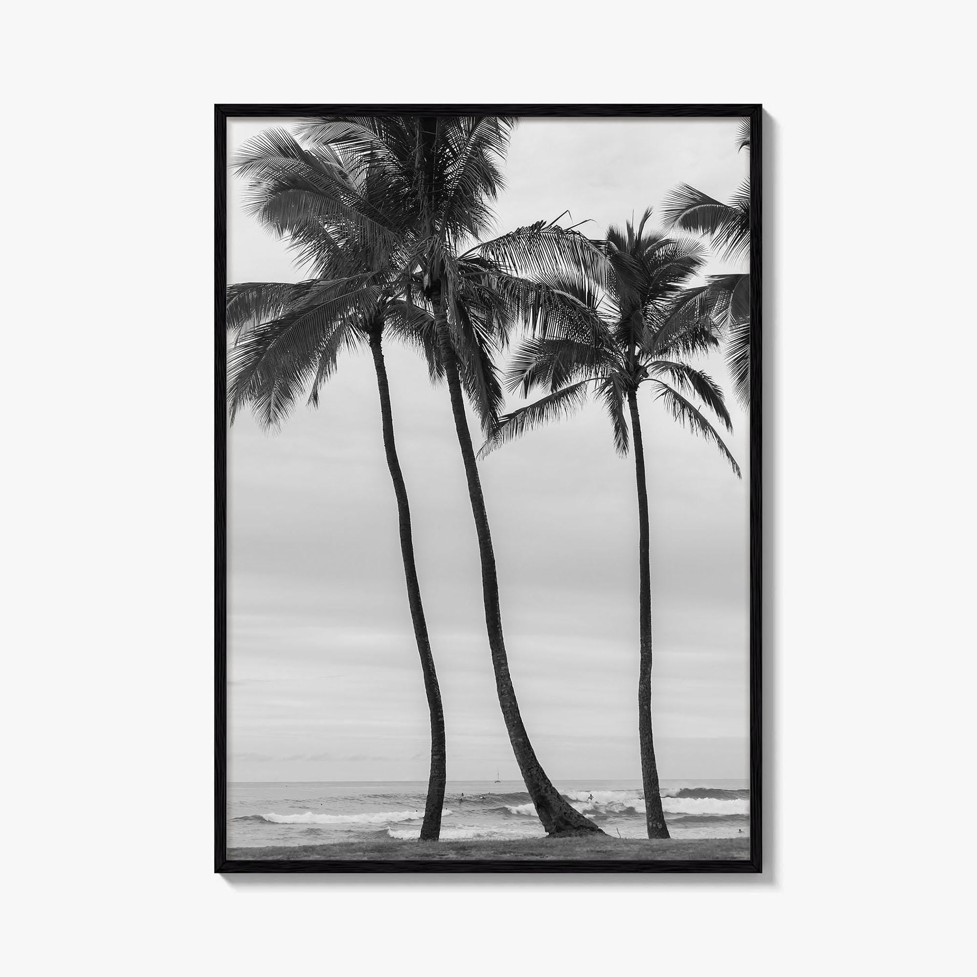 Haleiwa Black and White Fine Art Photo Print, Oahu Palm Trees, Hawaii Poster