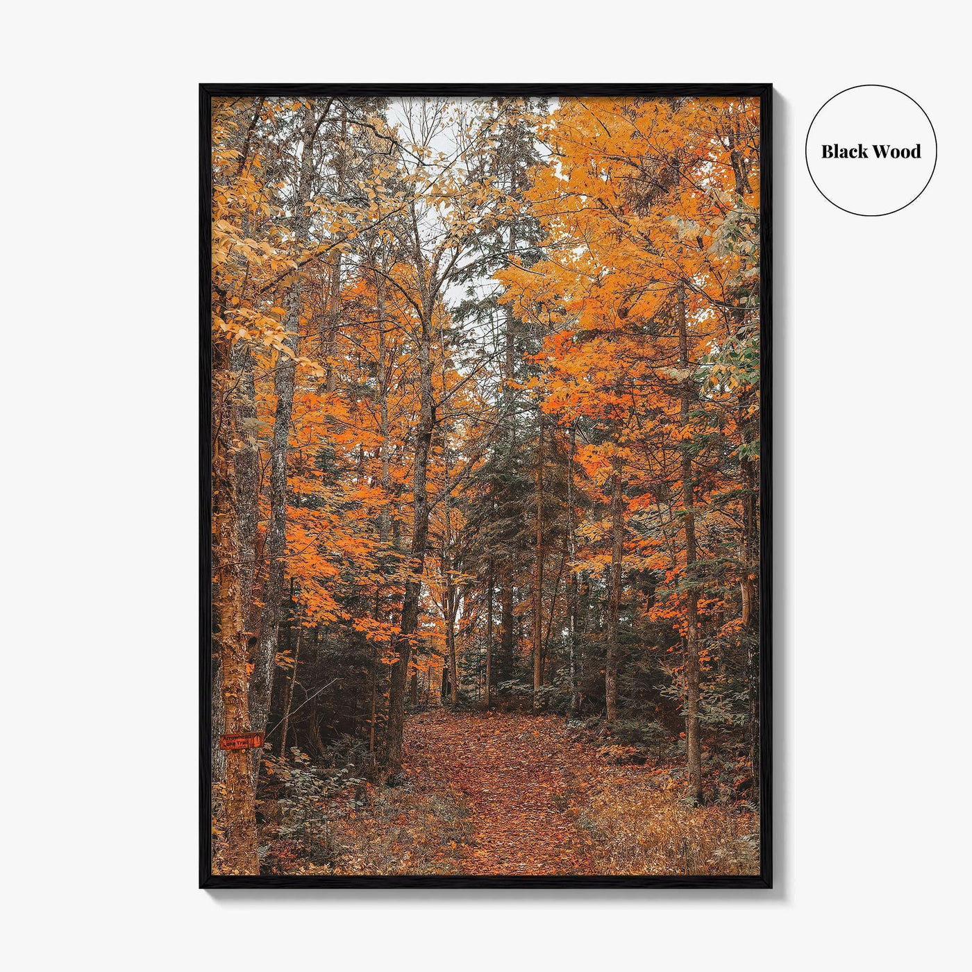 Arrowhead Provincial Park Fine Art Photo Print, Huntsville Ontario Canada, Algonquin Highlands, Wall Poster