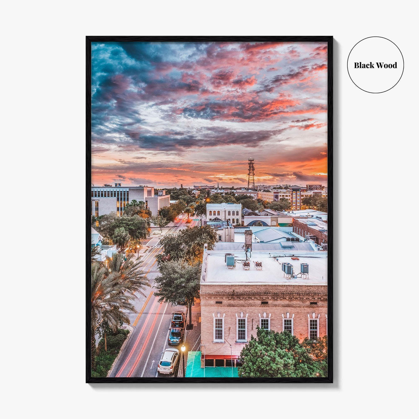 Gainesville Fine Art Photo Print, Florida USA, Downtown Wall Decor Poster