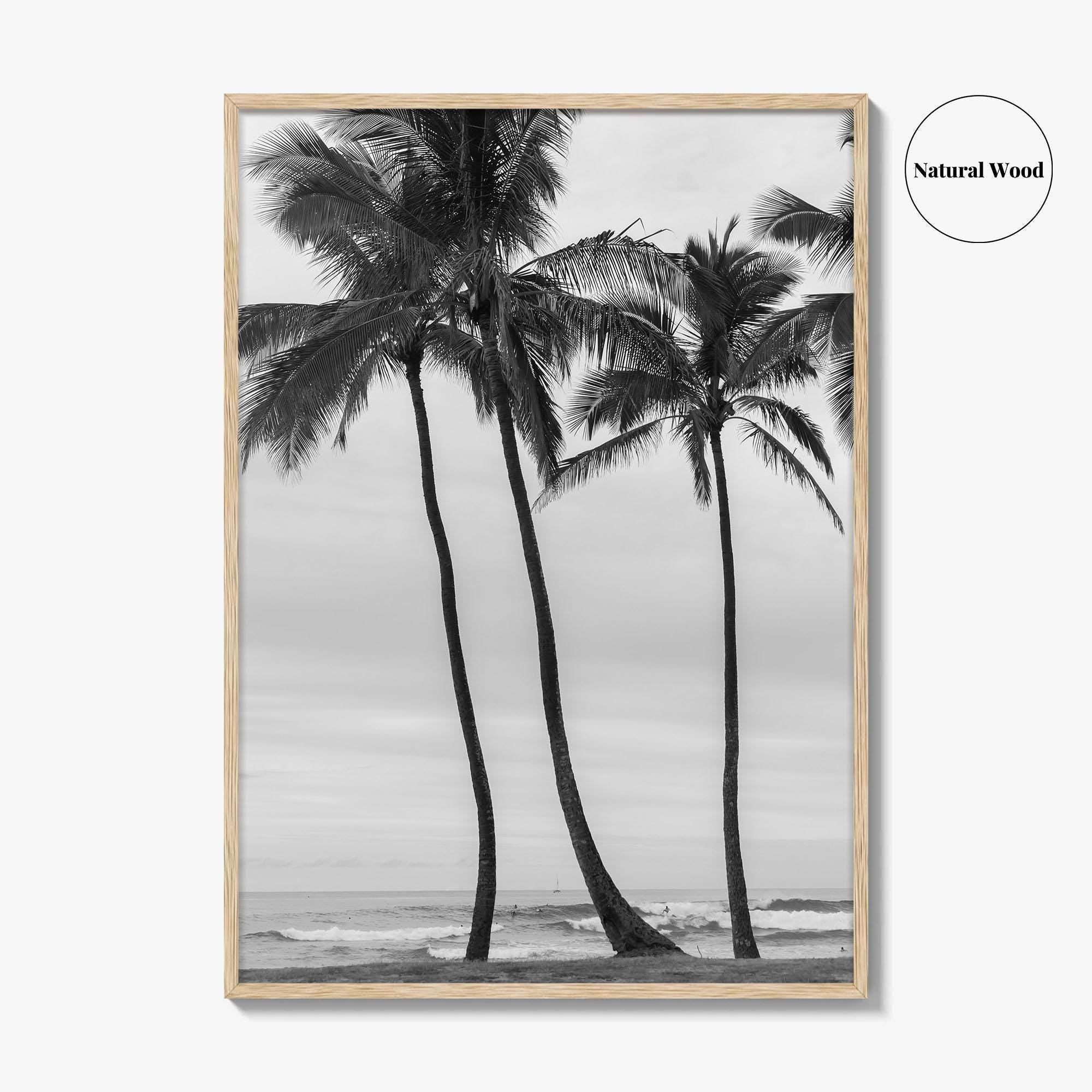 Haleiwa Black and White Fine Art Photo Print, Oahu Palm Trees, Hawaii Poster