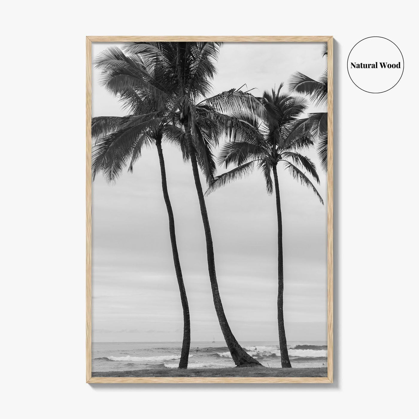 Haleiwa Black and White Fine Art Photo Print, Oahu Palm Trees, Hawaii Poster