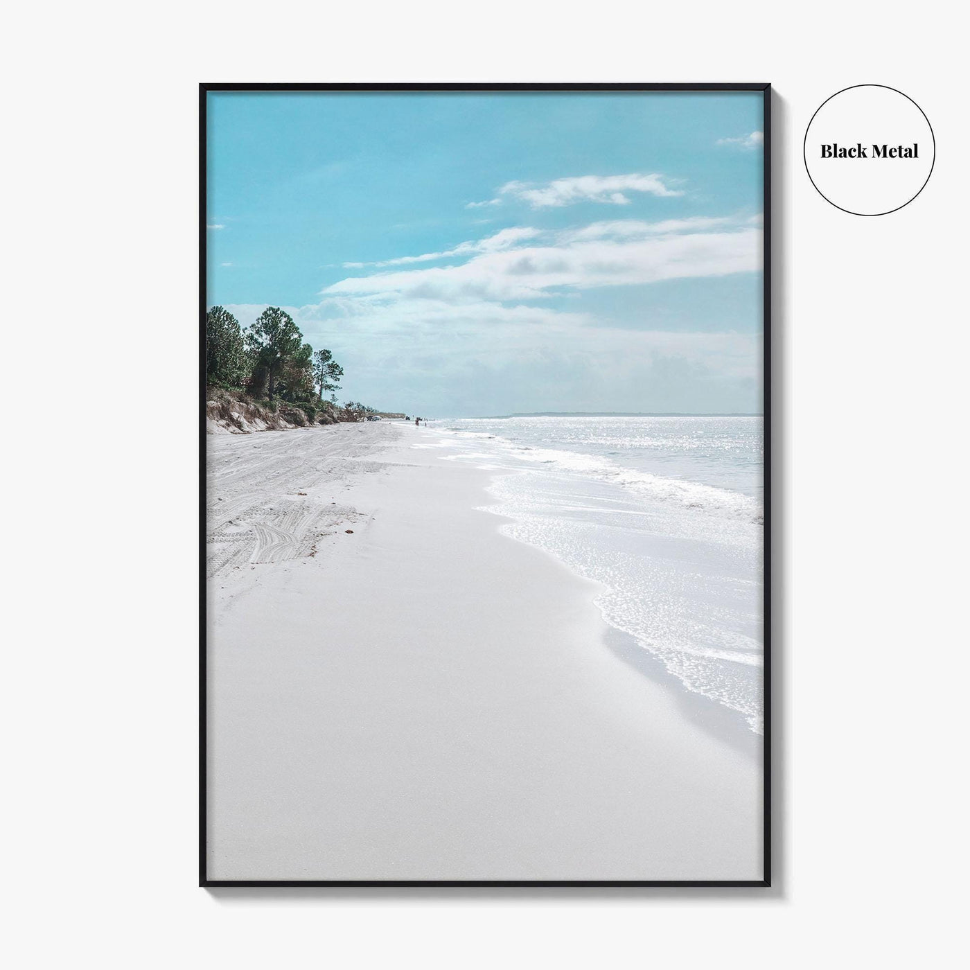 Fernandina Beach Fine Art Photo Print, Amelia Island, Florida, USA, Wall Poster, Coastal Birds