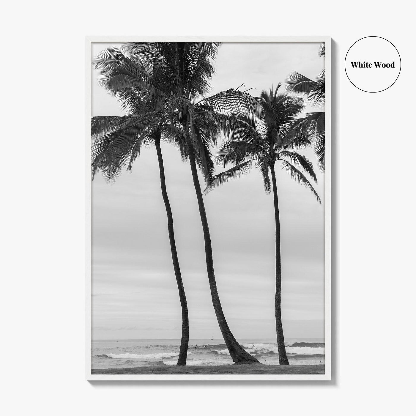 Haleiwa Black and White Fine Art Photo Print, Oahu Palm Trees, Hawaii Poster