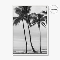 Haleiwa Black and White Fine Art Photo Print, Oahu Palm Trees, Hawaii Poster