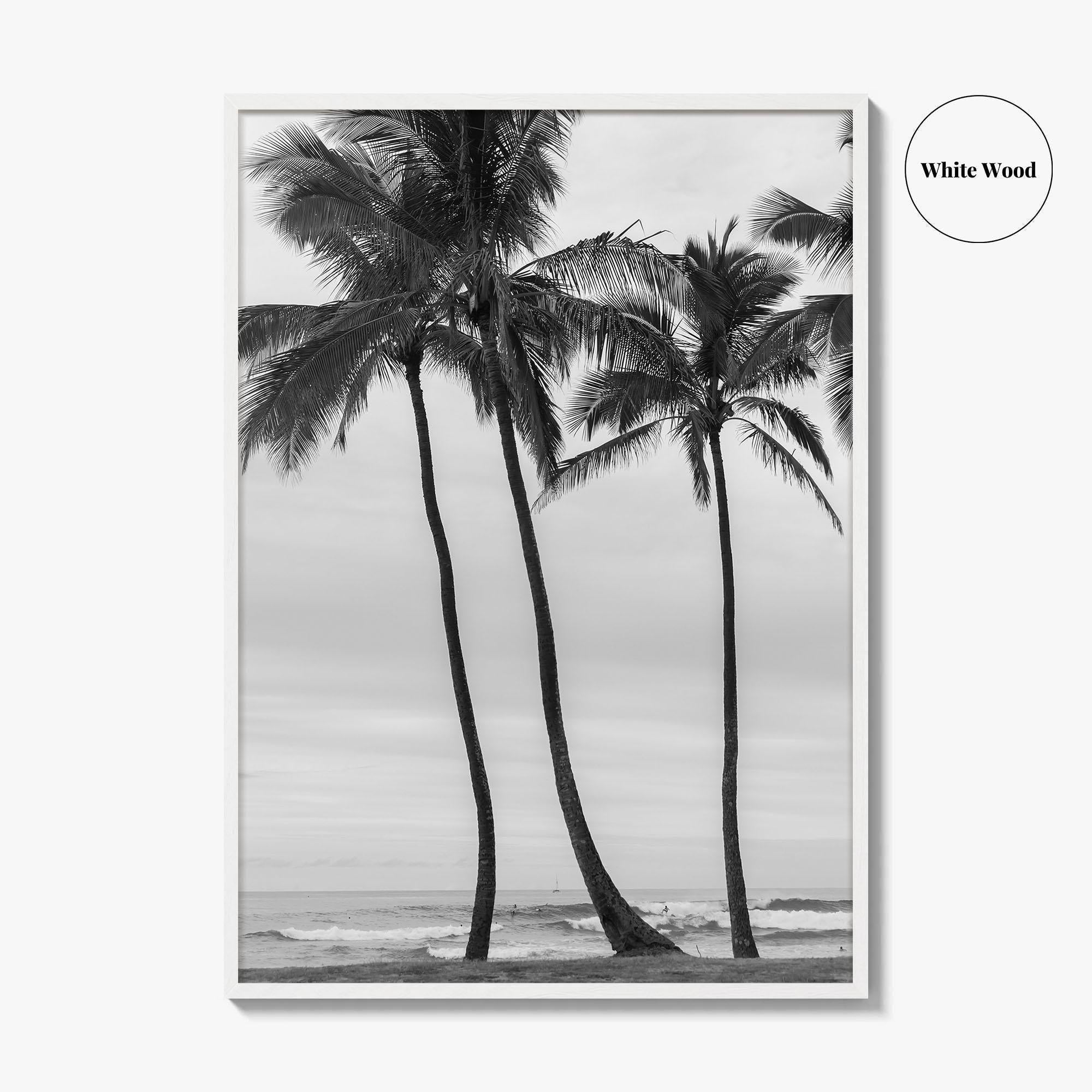 Haleiwa Black and White Fine Art Photo Print, Oahu Palm Trees, Hawaii Poster