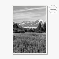 Juneau Black and White Fine Art Photo Print, Mendenhall Glacier Alaska Poster