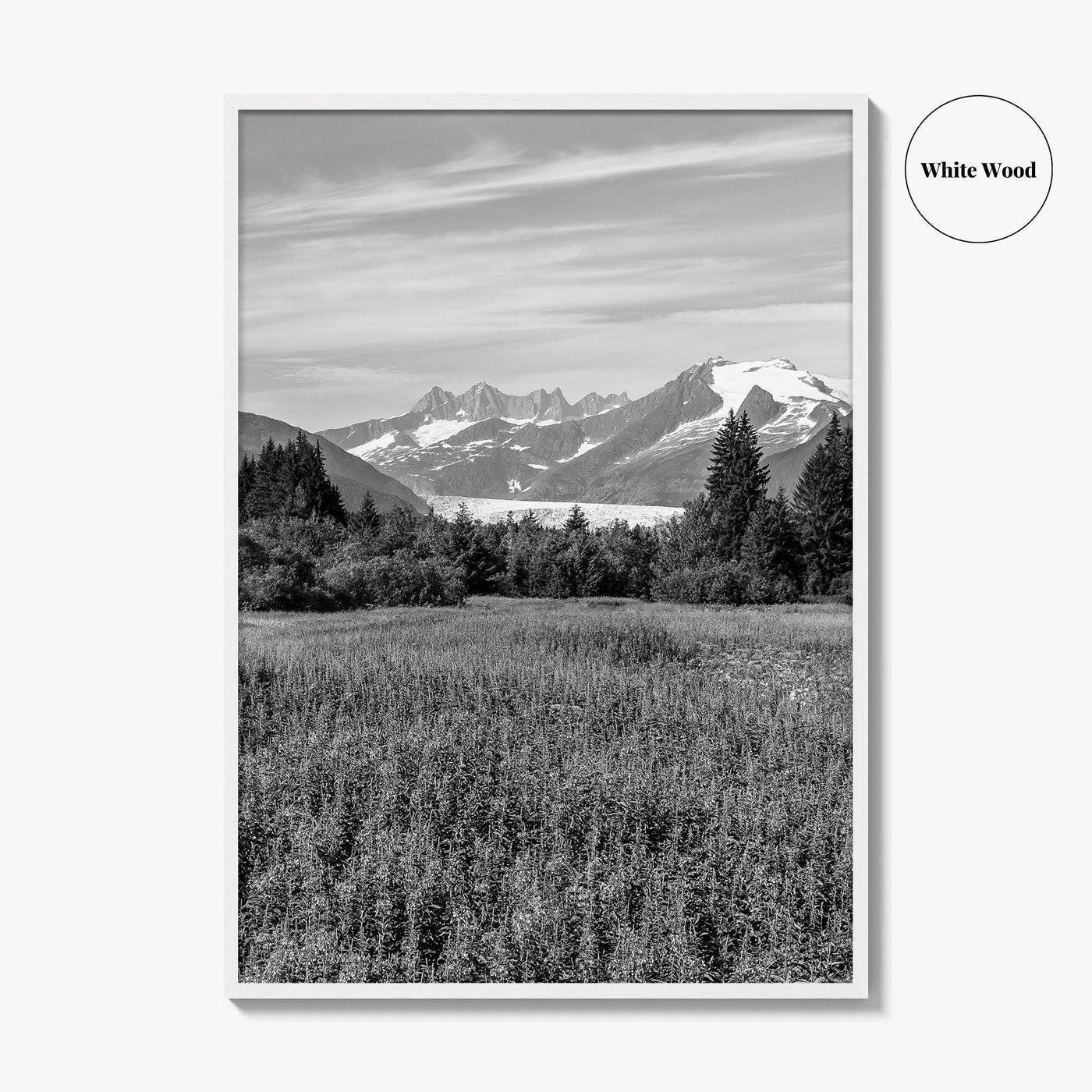 Juneau Black and White Fine Art Photo Print, Mendenhall Glacier Alaska Poster