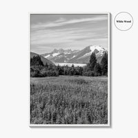 Juneau Black and White Fine Art Photo Print, Mendenhall Glacier Alaska Poster