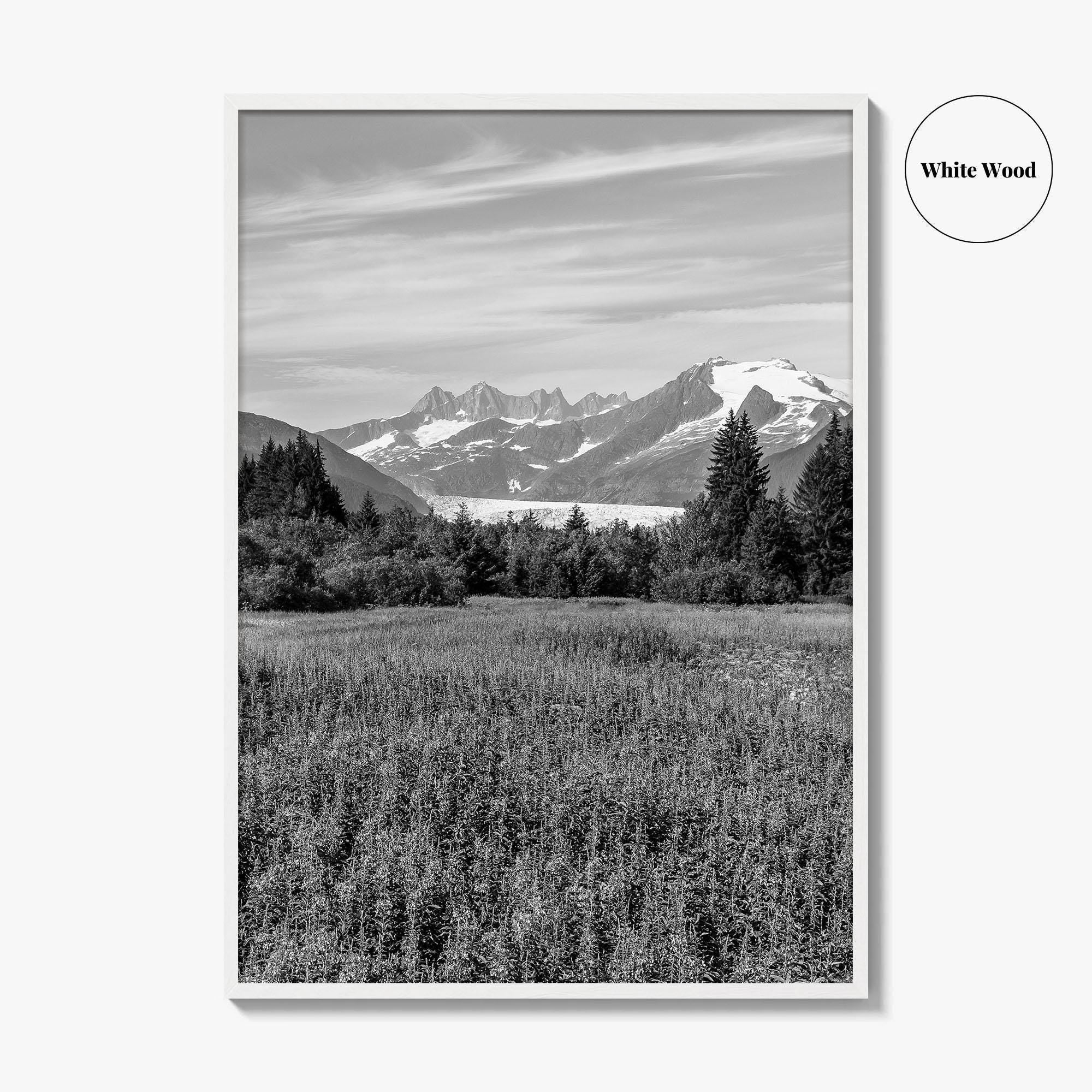Juneau Black and White Fine Art Photo Print, Mendenhall Glacier Alaska Poster