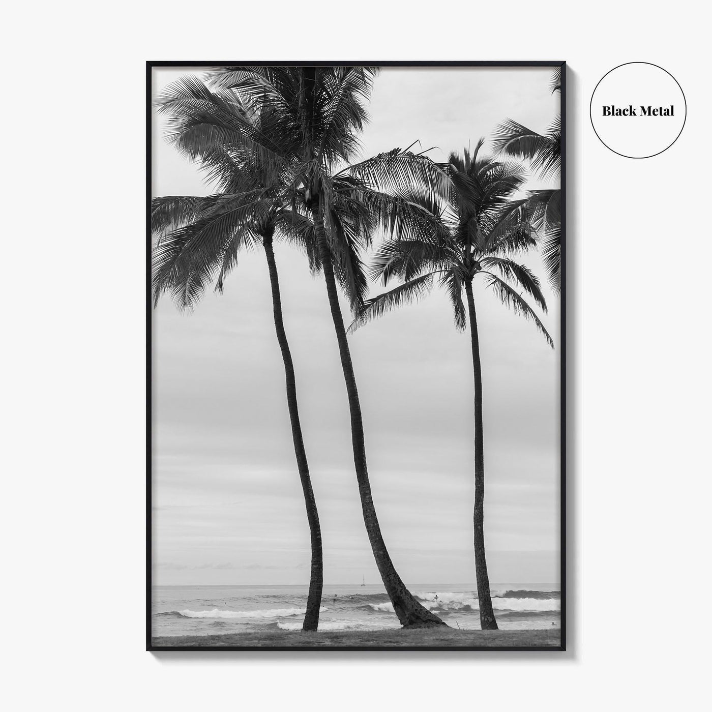 Haleiwa Black and White Fine Art Photo Print, Oahu Palm Trees, Hawaii Poster
