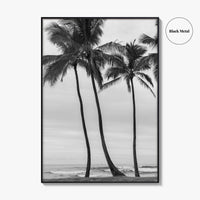 Haleiwa Black and White Fine Art Photo Print, Oahu Palm Trees, Hawaii Poster