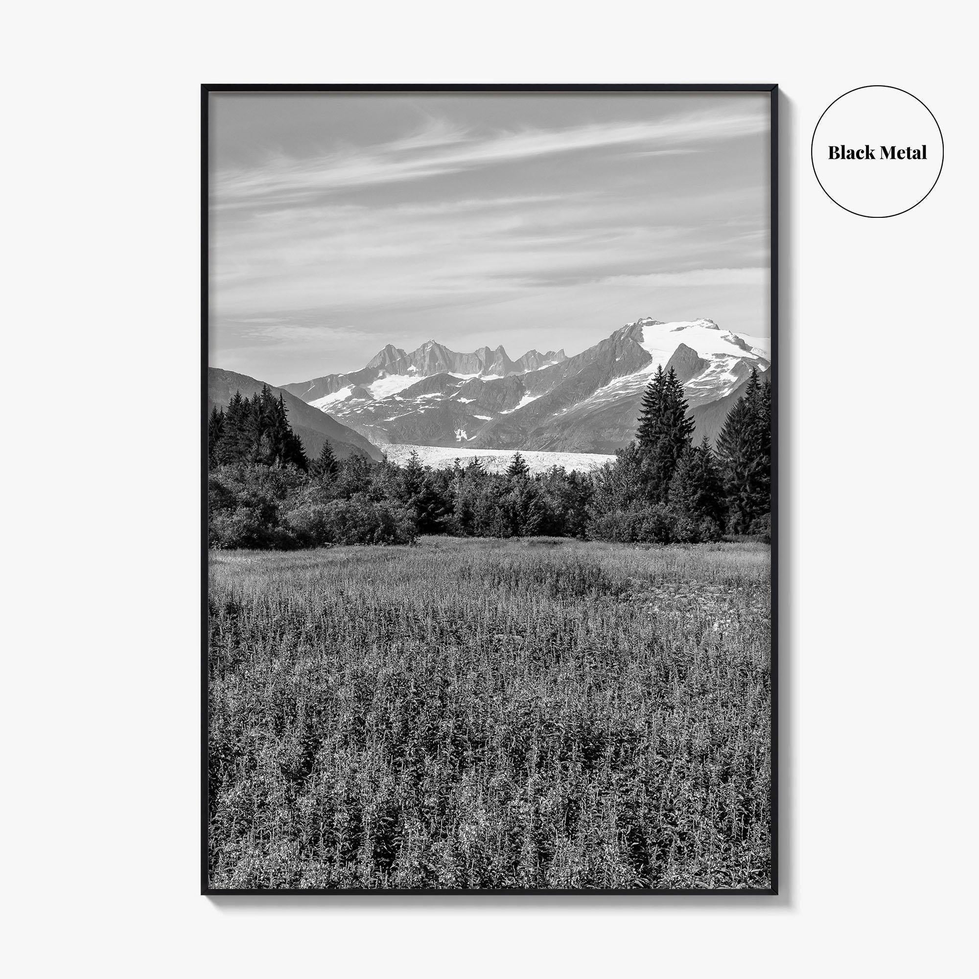 Juneau Black and White Fine Art Photo Print, Mendenhall Glacier Alaska Poster