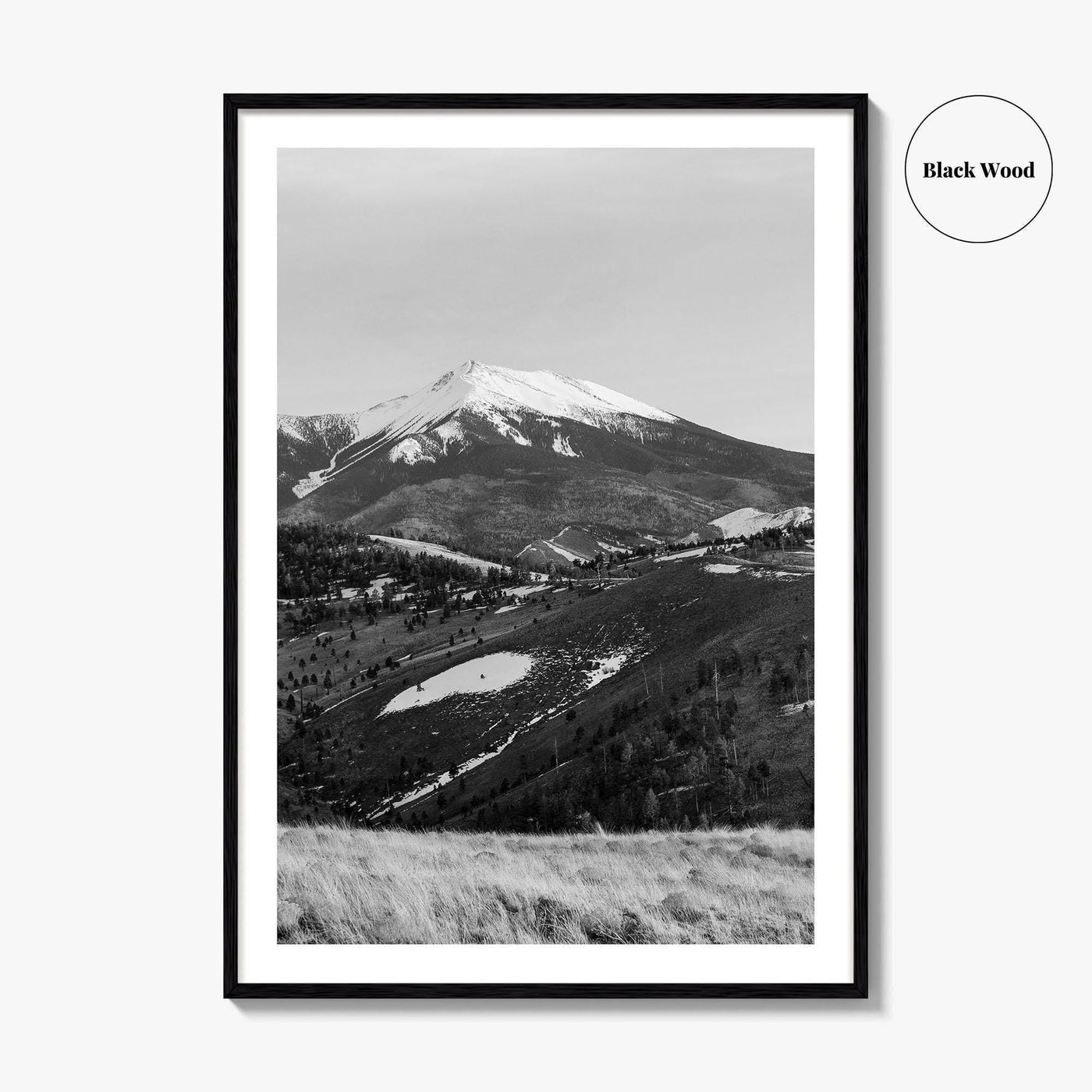 Flagstaff Black and White Fine Art Photo Print, Mount Humphreys, Arizona, USA, Poster