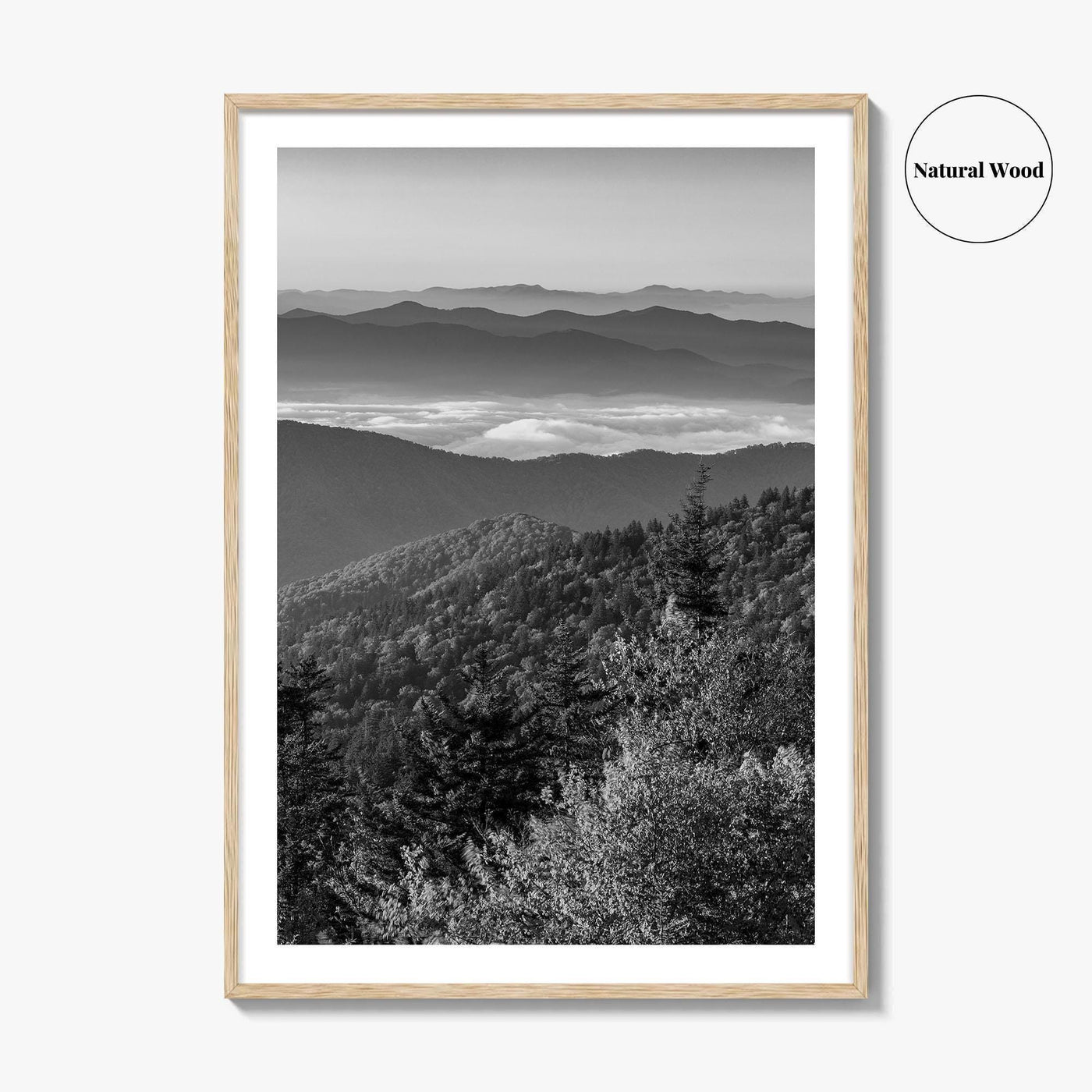 Great Smoky Mountains Black and White Fine Art Photo Print, Clingmans Dome Tennessee Poster