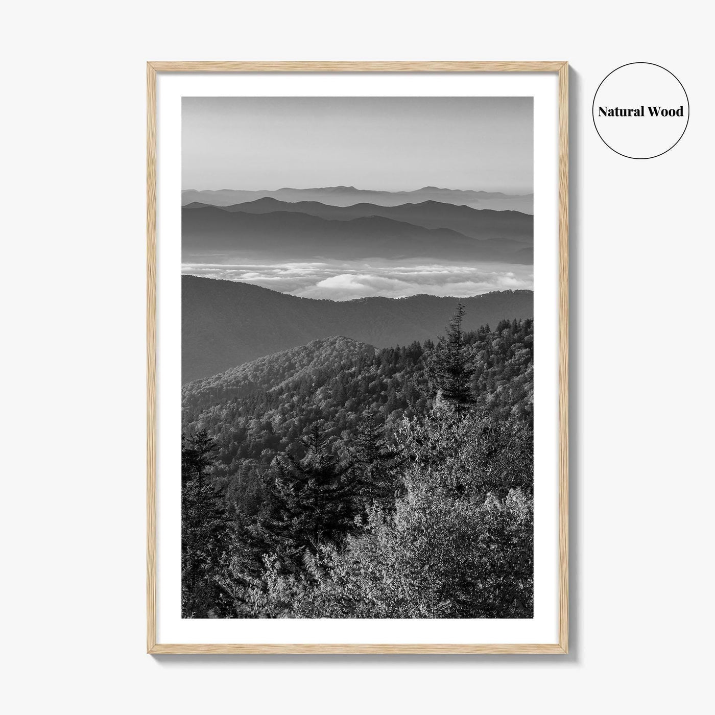 Great Smoky Mountains Black and White Fine Art Photo Print, Clingmans Dome Tennessee Poster