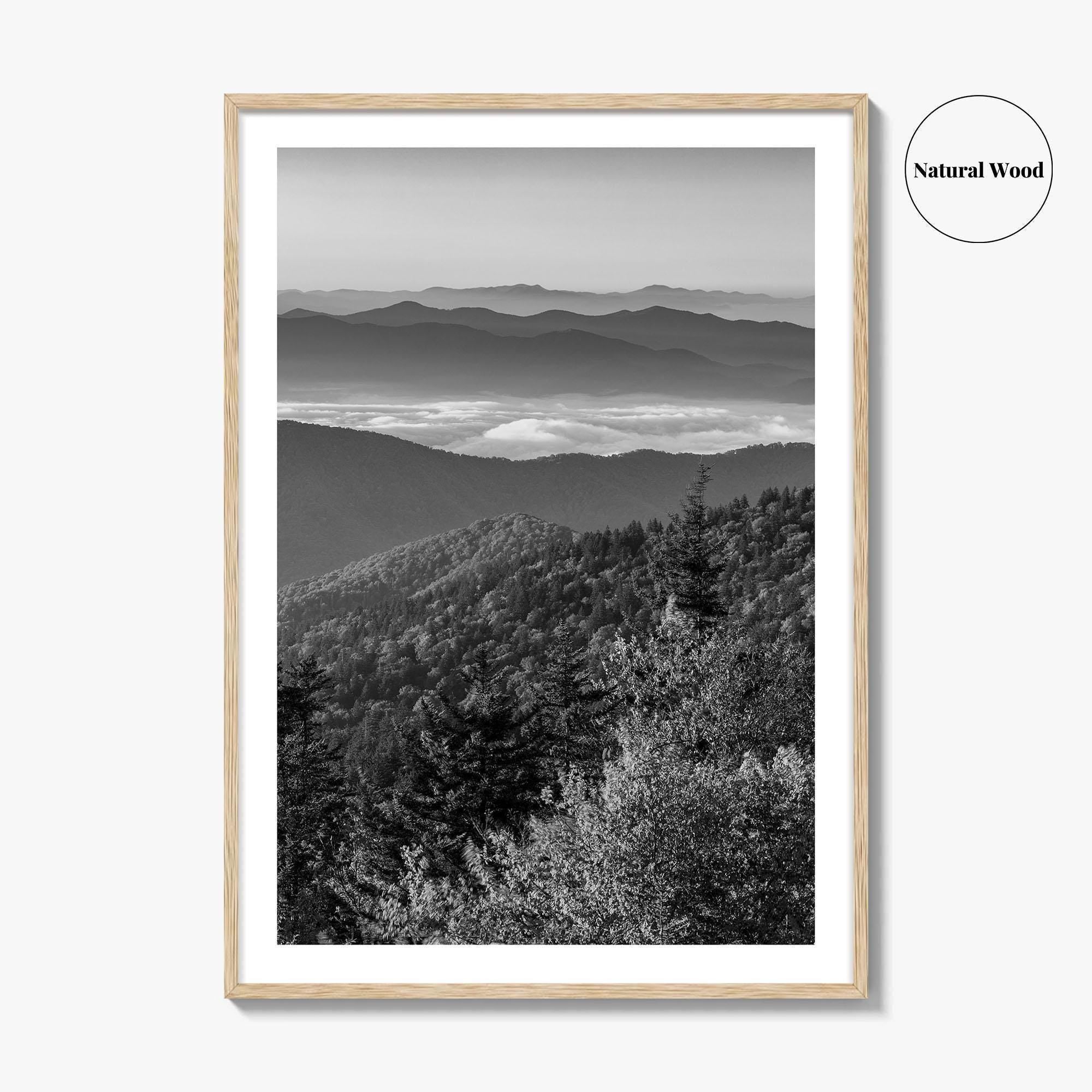 Great Smoky Mountains Black and White Fine Art Photo Print, Clingmans Dome Tennessee Poster