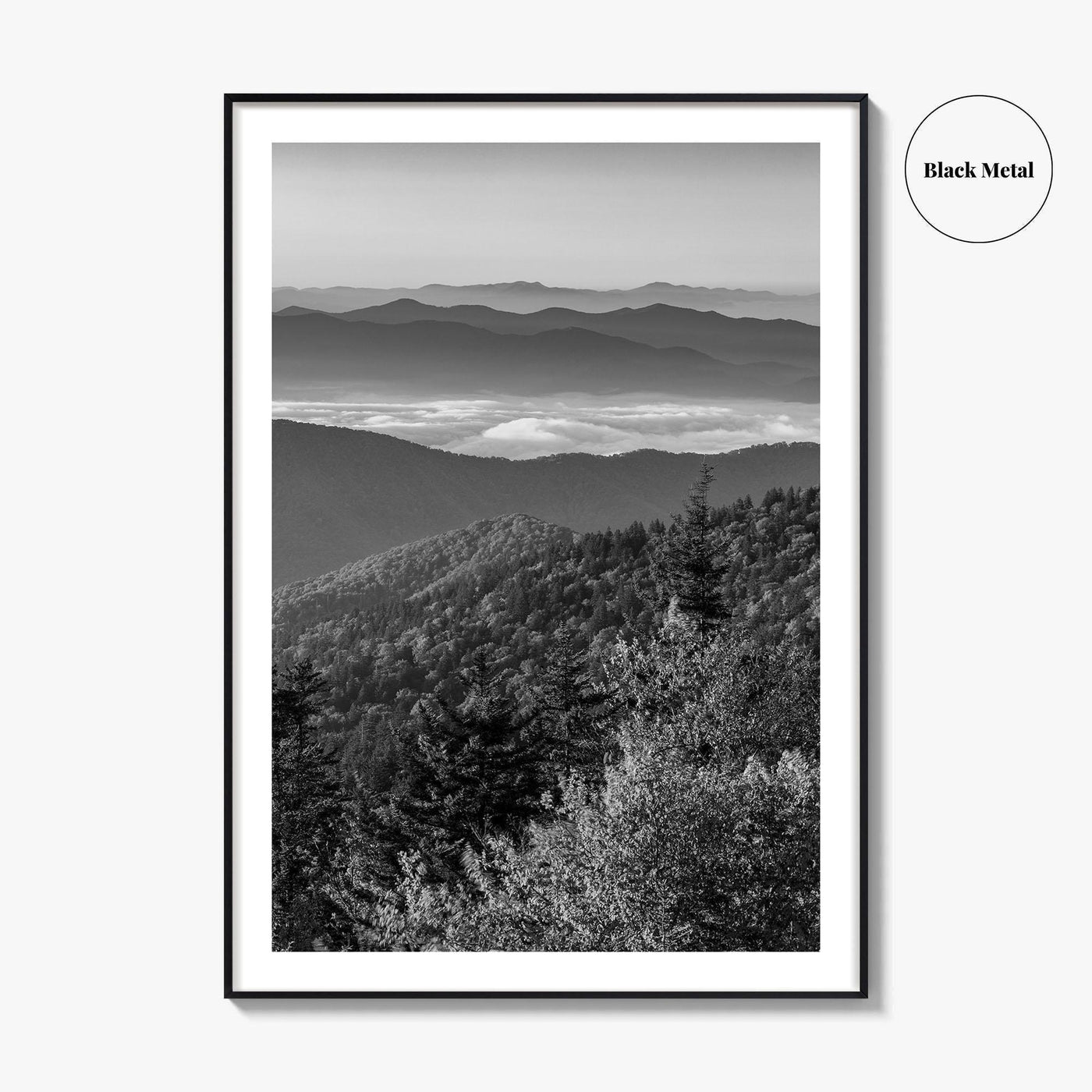 Great Smoky Mountains Black and White Fine Art Photo Print, Clingmans Dome Tennessee Poster