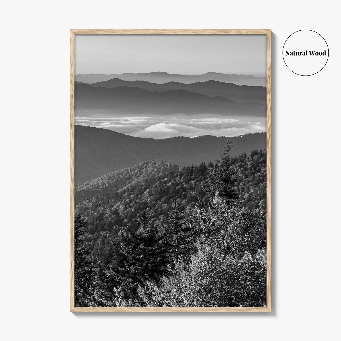 Great Smoky Mountains Black and White Fine Art Photo Print, Clingmans Dome Tennessee Poster