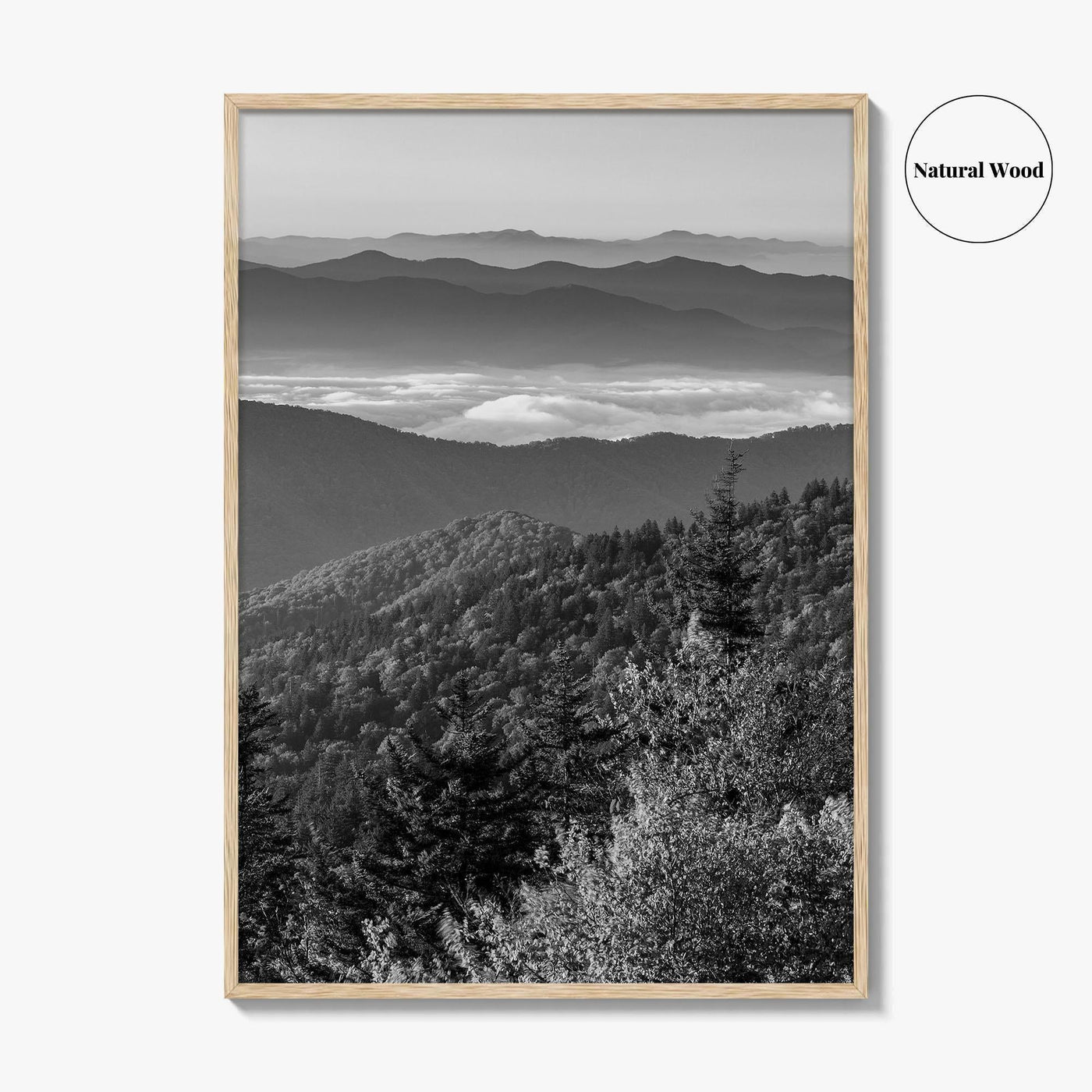 Great Smoky Mountains Black and White Fine Art Photo Print, Clingmans Dome Tennessee Poster