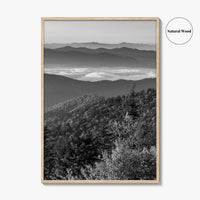 Great Smoky Mountains Black and White Fine Art Photo Print, Clingmans Dome Tennessee Poster