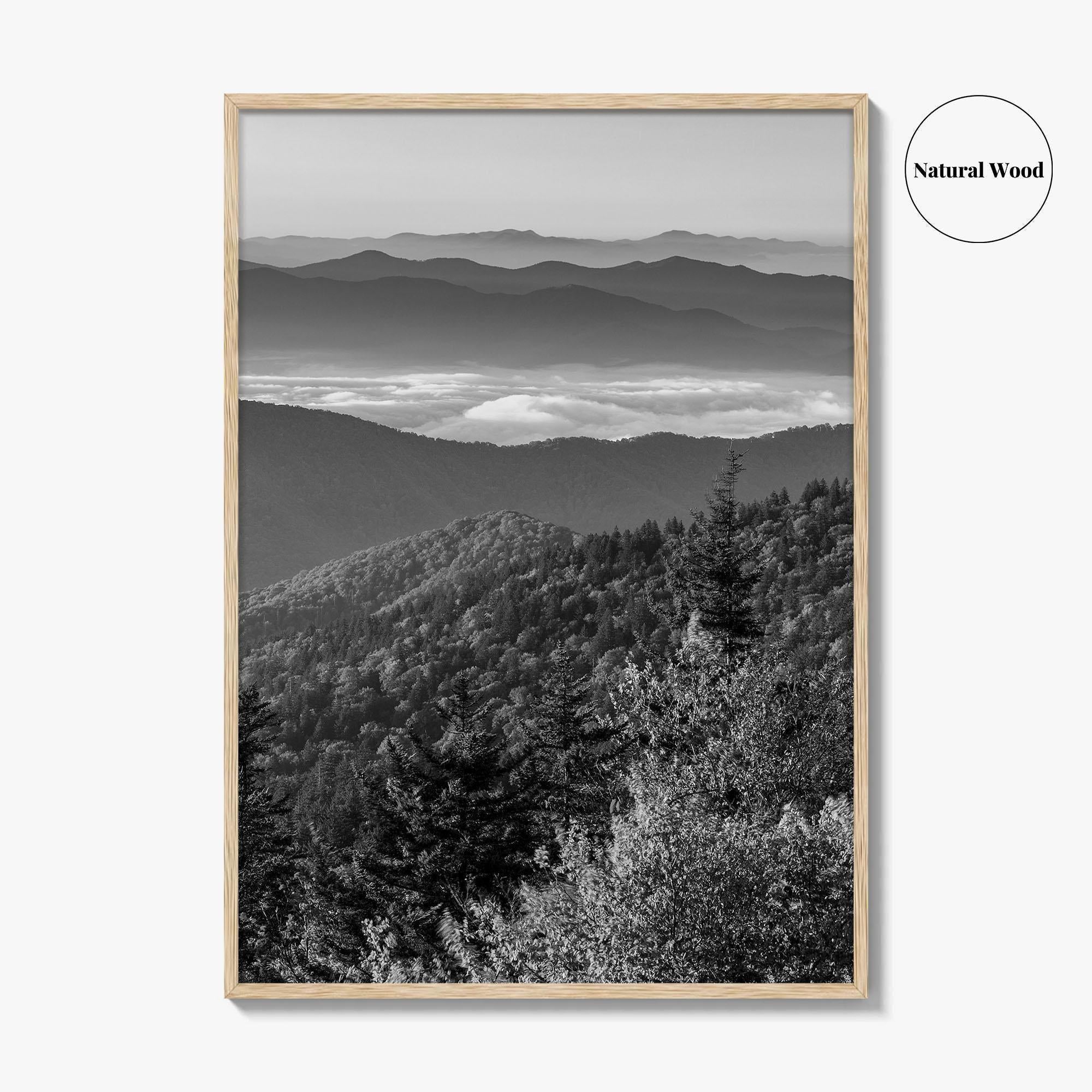 Great Smoky Mountains Black and White Fine Art Photo Print, Clingmans Dome Tennessee Poster