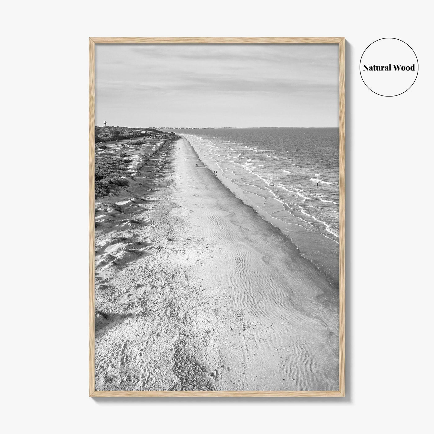 Jekyll Island Black and White Fine Art Photo Print, Georgia Coastal Poster
